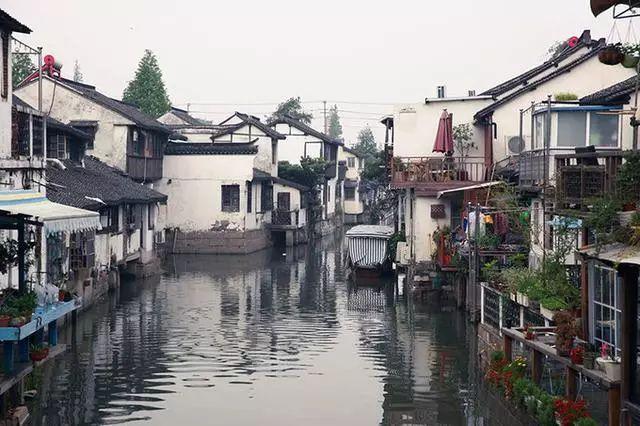 迷路的老奶奶